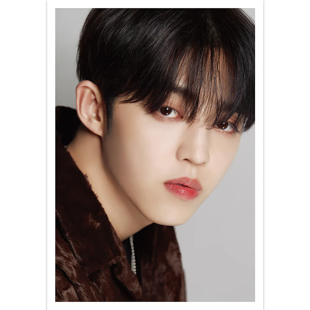 SEVENTEEN : DICON D’FESTA Dispatch 10th Anniversary - Image 2