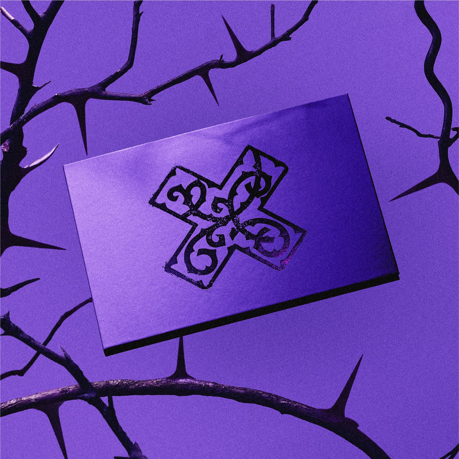 [Signed] TOMORROW X TOGETHER - 7TH YEAR: A Moment of Stillness in the Thorns - Image 3