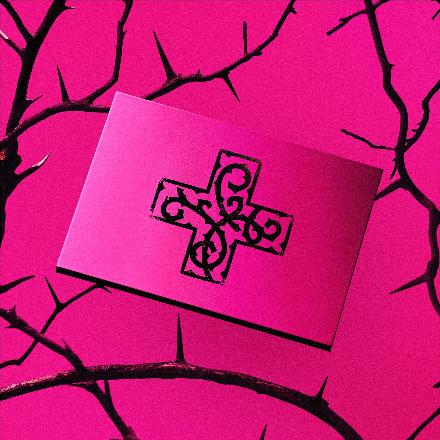 [Signed] TOMORROW X TOGETHER - 7TH YEAR: A Moment of Stillness in the Thorns - Image 4